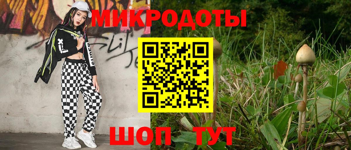 Галлюциногенные грибы ЛСД Михайловка
