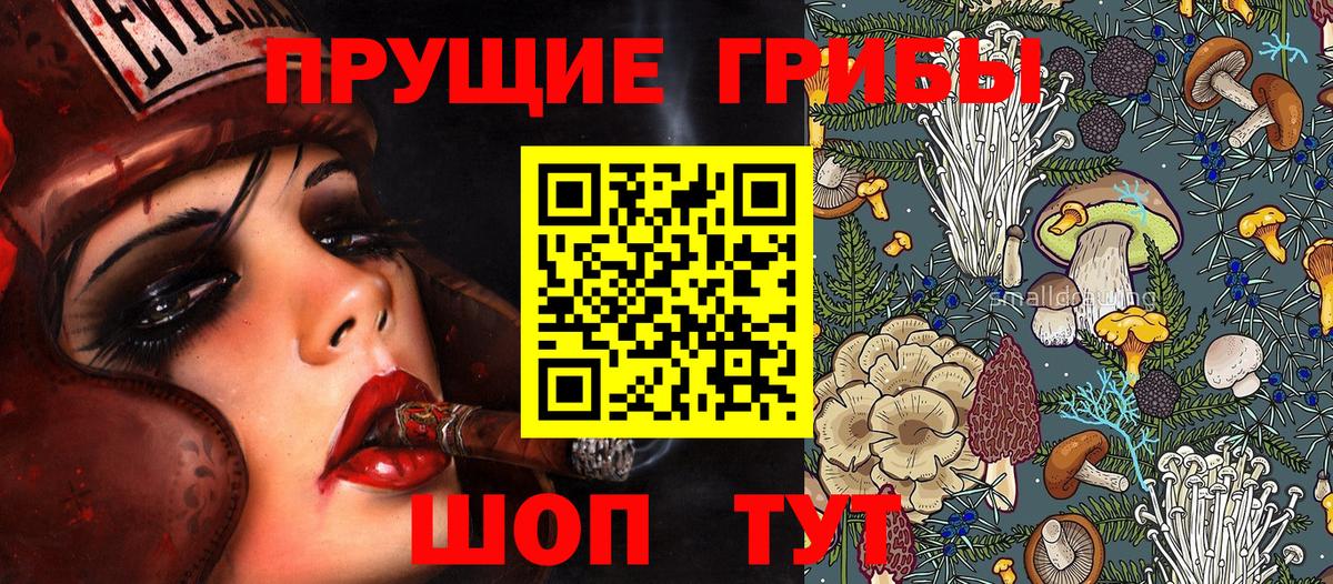 где можно купить   Вход с VPN  Михайловка  Псилоцибиновые грибы Psilocybine cubensis  Псилоцибиновые грибы Cubensis 
